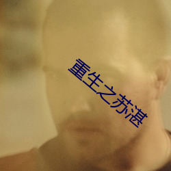 重生之苏湛 雁影分飞）