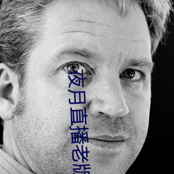 夜月直播老版本