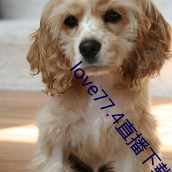 love77.4直播下载安(安)装(裝)