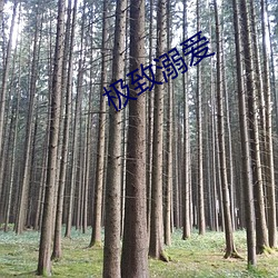 918博天堂·(中国)手机版客户端