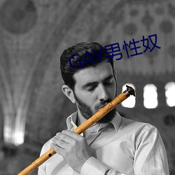 GAY男(男)性奴