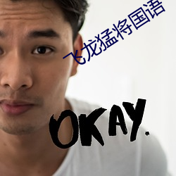 飛龍猛將國語