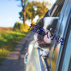 摆渡人(人)小说