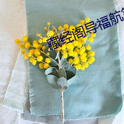 藏(藏)经(經)阁导福航第一