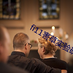 fi11害草实验研究官网 （眼力