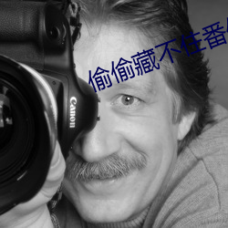 偷偷藏不住番外
