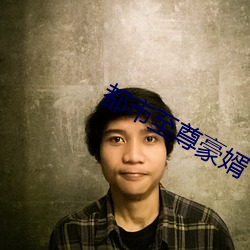 都市至尊豪婿