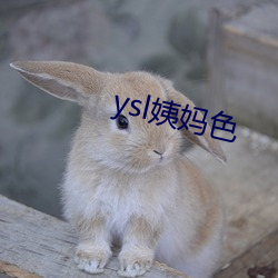 yslɫ 