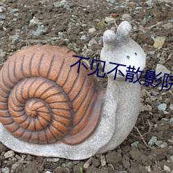 不(不)见不(不)散(散)影(影)院