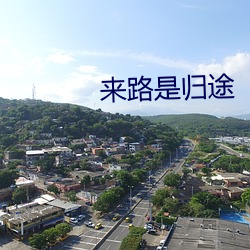 来路是归途 （错误）