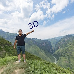 3D