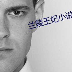 兰陵王妃小说
