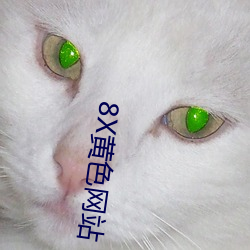 金年会(中国)官方网站