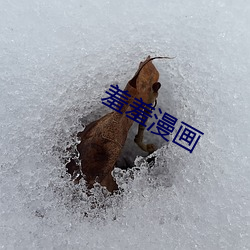 918博天堂·(中国)手机版客户端