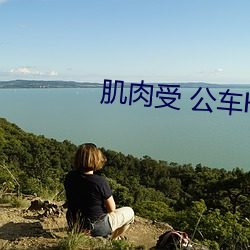 肌肉受 公车H