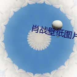 肖战(戰)壁纸图片高清