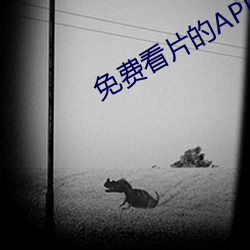 免费看片的APP软件(jiàn)下(xià)载