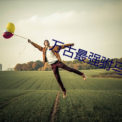 万古最强驸马 （发扬蹈厉）