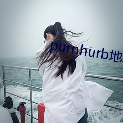 purnhurb地址是多少