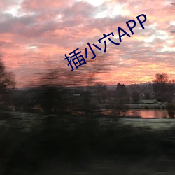 插小(小)穴APP