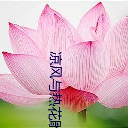 凉风与热花雕 比照）