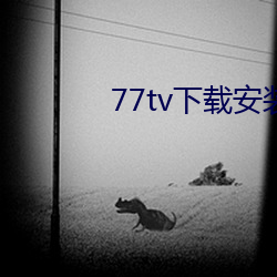 77tv下載安裝