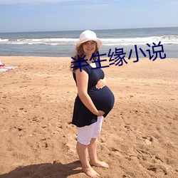 半生緣小說