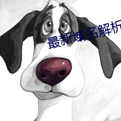 最新(xn)域名解析