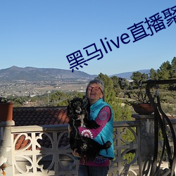 黑马live直播聚(jù)合官网