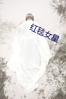 红毯(毯)女星(星)