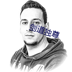 剑(劍)道独尊
