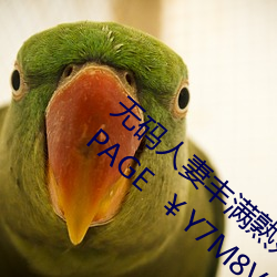 无码人妻丰满熟妇区五十路##Y4ps4e4n2##PAGE  ￥Y7M8V6ukAVNnDmQ6￥