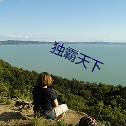 独霸天下