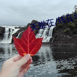 天堂在/线在线资源