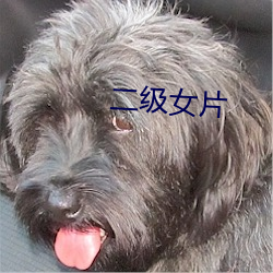 二级女片