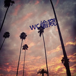 wc偷窥