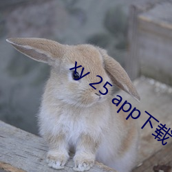 xy 25 app下载(zài)