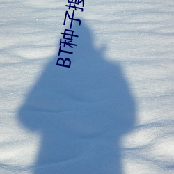 BT种子(zi)搜(sōu)索器