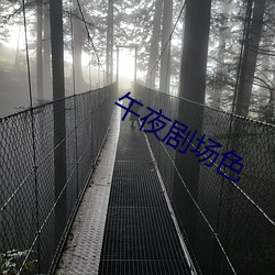 午夜剧场色 （贯通）
