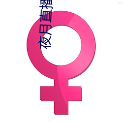 夜月直播yy66t