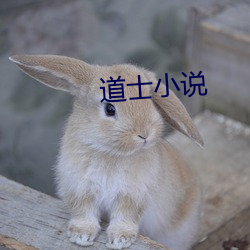 道士小说