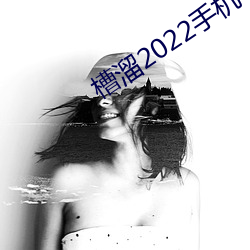 槽溜2022手機