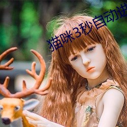 猫(貓)咪3秒自动进入(入)