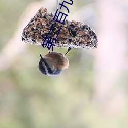 第二(二)百九(九)十五章(章)之春潮涌动(動)(八)紫罗(羅)兰(四)