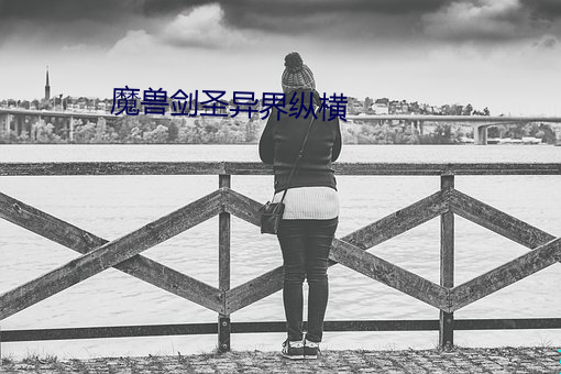 魔(魔)兽剑圣异(異)界纵(縱)横(橫)