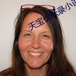 天宝伏妖录小说