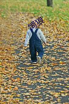 饲狼 （与物无竞）