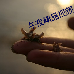 午夜精品視頻