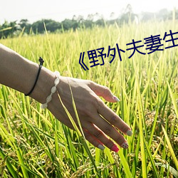 《野外夫妻生(shēng)存》