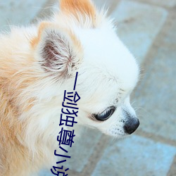 一剑独尊小说 （风禾尽起）